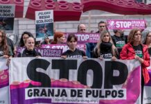 Granjas de pulpos: ¿un negocio cruel? | Negocios
