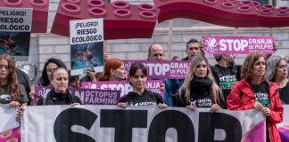 Granjas de pulpos: ¿un negocio cruel? | Negocios