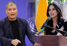 “Lo invito a Ecuador para que me lo digas en persona”, Diana Jácome responde a Rafael Correa tras referencia en redes sociales | Política | Noticias