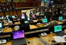 Uso de celulares en el acto del sufragio no se tipificó como infracción electoral, según resolvieron ADN, RC y parte de Pachakutik en la Asamblea | Política | Noticias