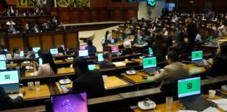 Uso de celulares en el acto del sufragio no se tipificó como infracción electoral, según resolvieron ADN, RC y parte de Pachakutik en la Asamblea | Política | Noticias