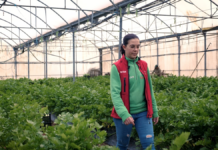 “Recomendaría Kit Digital a empresas para adaptarse a los nuevos tiempos” | Economía