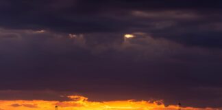 Locura en el mercado energético: el petróleo pasa de máximos a pinchar el 17% en 24 horas | Mercados Financieros