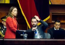 Una Asamblea Nacional complaciente con el Ejecutivo cumple su primer mes de gestión | Política | Noticias