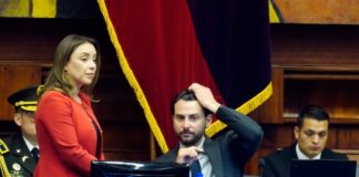 Una Asamblea Nacional complaciente con el Ejecutivo cumple su primer mes de gestión | Política | Noticias