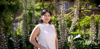 La economía se extranjeriza, pero no la administración pública: el muro de los foráneos para ser funcionarios | Economía