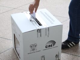 CNE actualiza el número de concejales a elegir en parroquia de Azuay para las seccionales | Política | Noticias