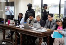 Consejo de Participación Ciudadana concluye que la renuncia de Diana Salazar fue una ‘situación no prevista’ en las normas para agilizar la elección de su reemplazo | Política | Noticias