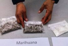 ¿Cómo se diferenciará a los consumidores y los traficantes de droga con la ley aprobada en Asamblea? | Ecuador | Noticias