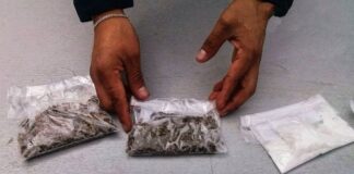 ¿Cómo se diferenciará a los consumidores y los traficantes de droga con la ley aprobada en Asamblea? | Ecuador | Noticias