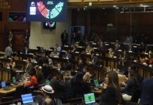 Edgar Lama designado delegado del Ejecutivo al Consejo Directivo del IESS | Política | Noticias