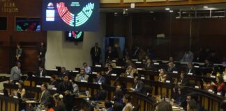 Edgar Lama designado delegado del Ejecutivo al Consejo Directivo del IESS | Política | Noticias