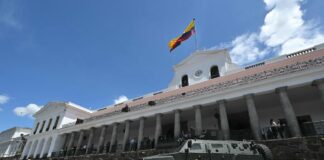 Cómo funcionará el nuevo Sistema Nacional de Inteligencia aprobado por la Asamblea y Daniel Noboa; expertos dicen que podría haber “abusos” y hasta demandas por “inconstitucionalidad” | Informes | Noticias