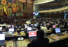 UNICEF alerta sobre impacto de reformas penales juveniles en nueva Ley de Integridad Pública | Política | Noticias