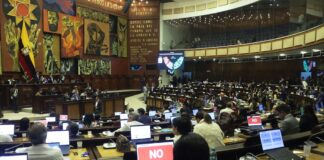 UNICEF alerta sobre impacto de reformas penales juveniles en nueva Ley de Integridad Pública | Política | Noticias