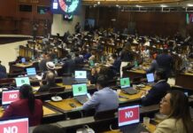 En el pleno y en comisiones, las peleas y gritos entre legisladores vuelven a la Asamblea Nacional | Política | Noticias