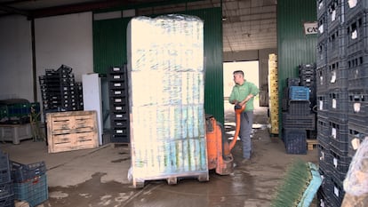 Gracias a Kit Digital, las empresas realizan el registro digitalizado de las jornadas del equipo en plantilla. 