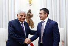 Daniel Noboa acuerda cooperación con Panamá en comercio y lucha contra la evasión fiscal | Política | Noticias