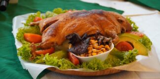 Cuy en programas de alimentación escolar: esto plantea el proyecto de ley que se tramita en la Asamblea Nacional | Noticias |