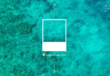 Las mejores campañas de Luxury en Cannes Lions 2025: