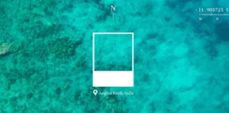 Las mejores campañas de Luxury en Cannes Lions 2025: