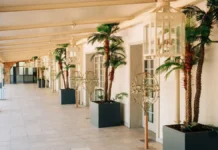 eventos corporativos únicos en plena naturaleza