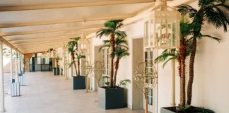 eventos corporativos únicos en plena naturaleza