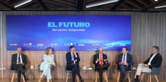El sector asegurador traza su hoja de ruta | Negocios