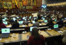 RC-ADN y Pachakutik archivan proyecto de ley de protección y defensa de los derechos de los animales | Política | Noticias