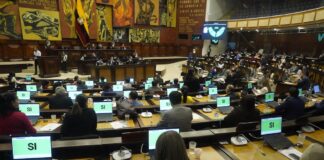 RC-ADN y Pachakutik archivan proyecto de ley de protección y defensa de los derechos de los animales | Política | Noticias