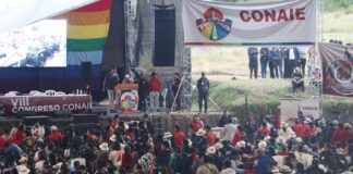 A esta hora se desarrolla el conteo de los votos en las elecciones del presidente de la Conaie | Política | Noticias