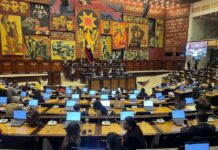 Estos son los perfiles de los integrantes de la terna de la Asamblea Nacional para el Consejo de la Judicatura | Política | Noticias