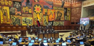 Estos son los perfiles de los integrantes de la terna de la Asamblea Nacional para el Consejo de la Judicatura | Política | Noticias