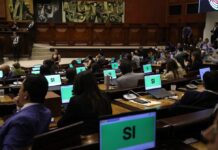 Estos son los 80 asambleístas que votaron a favor de la Ley de Áreas Protegidas | Política | Noticias