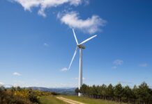 El rechazo del decreto anti -español amenaza 3 mil millones de inversiones verdes y la factura se elevará a la industria | Economía