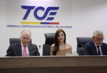Legislador del correísmo denuncia a siete ministros de Daniel Noboa ante el TCE | Política | Noticias