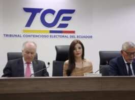 Legislador del correísmo denuncia a siete ministros de Daniel Noboa ante el TCE | Política | Noticias