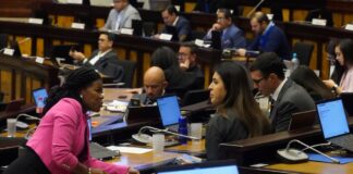 Ningún legislador ha sido denunciado ante el Comité de Ética por ubicar familiares en la Asamblea Nacional | Política | Noticias