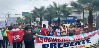 Docentes y personal de salud se movilizan en varias provincias del país en contra de políticas laborales de Daniel Noboa | Política | Noticias