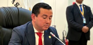 Ferdinan Álvarez, presidente del Comité de Supervisión: «Recibimos a Daniel Salcedo porque dijo que tenía información relevante, asumí que tenía documentos» | Política | Noticias