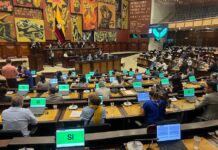 Asamblea Nacional completa terna para designar vocal del Consejo de la Judicatura | Política | Noticias