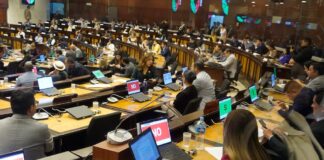 Reformas a la ley para dignificar el trabajo remunerado del hogar pasaron con las observaciones del Ejecutivo | Política | Noticias