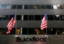 La gestión pasiva se consolida entre los propietarios de los gigantes del mercado de valores | Mercados financieros