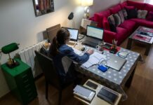 Mitos laborales de verano: ¿cuándo el teletrabajo pasa a ser un derecho? | Negocios