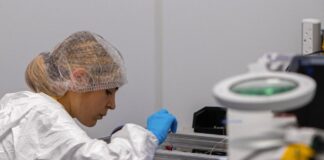 Cataluña lanzará en otoño un satélite para poner en órbita el primer laboratorio europeo 6G | Economía