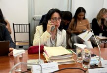 La Comisión de Supervisión reanudó el proceso de juicio político contra Soanda Goyes, la vocal de CJ | Política | Noticias