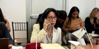 La Comisión de Supervisión reanudó el proceso de juicio político contra Soanda Goyes, la vocal de CJ | Política | Noticias