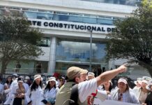 Ley de Integridad Pública sigue acumulando demandas en la Corte Constitucional; profesores, médicos y jueces presentaron acciones en un solo día | Política | Noticias