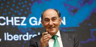 Iberdrola expande capital en 5,000 millones y acusa un impacto de 135 millones en Blecaut | Empresas