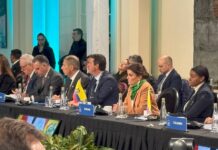 Vicepresidenta María José Pinto participa de cumbre de Mercosur y estados asociados | Política | Noticias